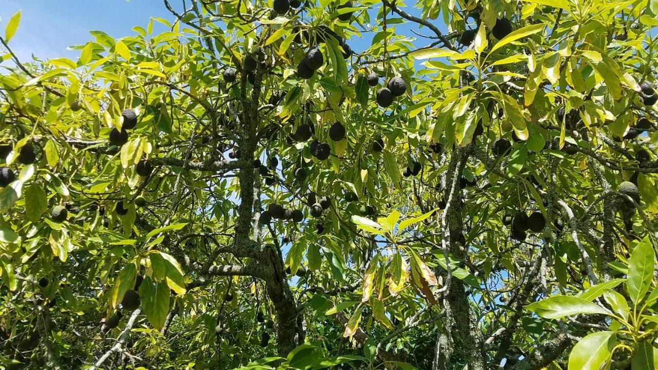 凯里谷德小屋汽车旅馆 凯里凯里 外观 照片